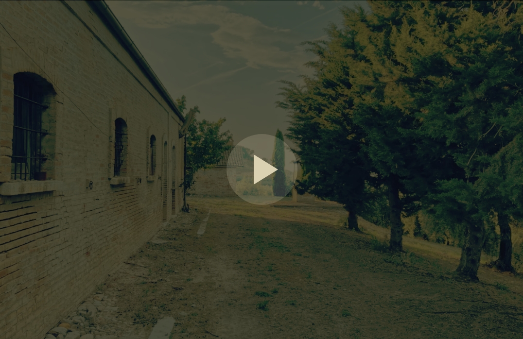 Video Azienda Palmieri