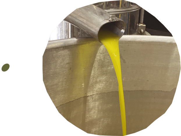 Separatore olio Frantoio Palmieri